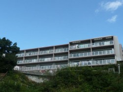 南向きで日当たり良好! 2025年7月中旬リノベーション完了予定! 3階部分!