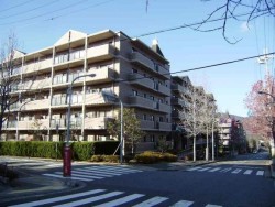 4階部分! オーナーチェンジ物件! ロフトあり!