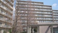 令和8年7月完了予定! 新規リノベーション物件! ペット飼育可(規約あり)! 8階南向き! 日当たり良好!