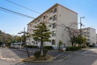 神戸市一円でお部屋を探すなら不動産情報満載のセンチュリー21ハウジング流通 ひよどり台１団地８号棟は、ゆったり4DKの広さで家族にピッタリ！明るい日差しが差し込むお部屋で、バルコニーも完備。独立洗面台や専用バス、トイレで快適な生活をサポートします。交通は少々遠いですが、その分静かな住環境をお楽しみいただけます。忙しい毎日にも、ここが癒しの空間となりますように。